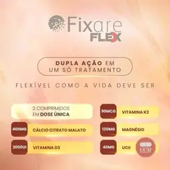 FIXARE FLEX 120 CP